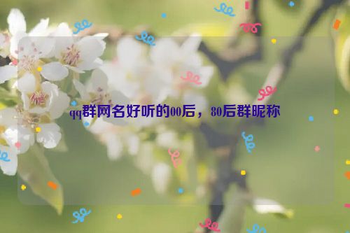 qq群网名好听的00后，80后群昵称