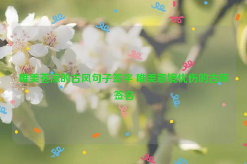 唯美苍凉的古风句子签字 唯美意境忧伤的古风签名