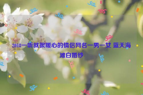 2018一听就很暖心的情侣网名一男一女 蓝天海滩白婚纱