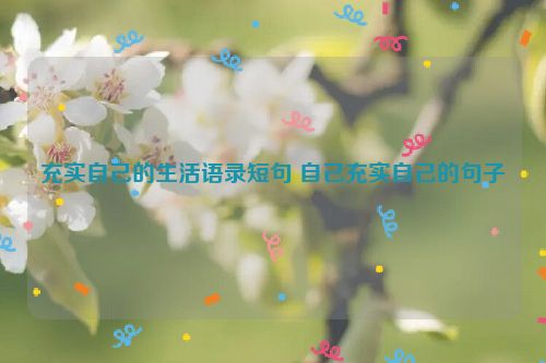 充实自己的生活语录短句 自己充实自己的句子