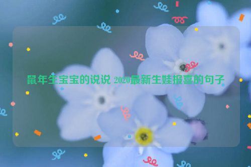 鼠年生宝宝的说说 2020最新生娃报喜的句子