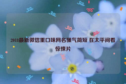 2018最新微信重口味网名骚气简短 在太平间看惊悚片