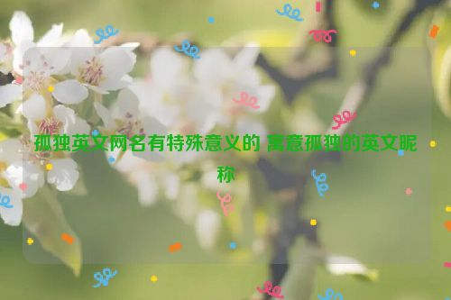 孤独英文网名有特殊意义的 寓意孤独的英文昵称