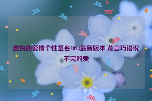 虚伪的爱情个性签名2023最新版本 花言巧语说不完的爱