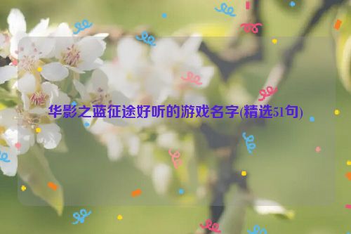 华影之蓝征途好听的游戏名字(精选51句)