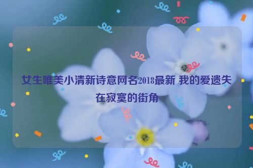 女生唯美小清新诗意网名2018最新 我的爱遗失在寂寞的街角