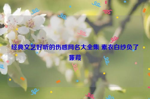 经典文艺好听的伤感网名大全集 素衣白纱负了蒹葭