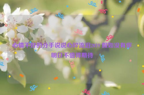 心情不好的分手说说心碎流泪2019 假如没有你明日不值得期待