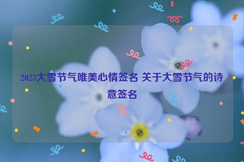 2023大雪节气唯美心情签名 关于大雪节气的诗意签名