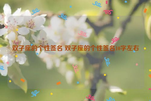 双子座的个性签名 双子座的个性签名10字左右