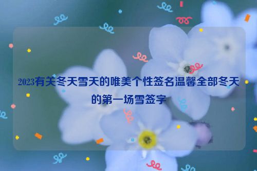 2023有关冬天雪天的唯美个性签名温馨全部冬天的第一场雪签字