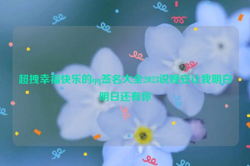 超拽幸福快乐的qq签名大全2023说晚安让我明白明日还有你