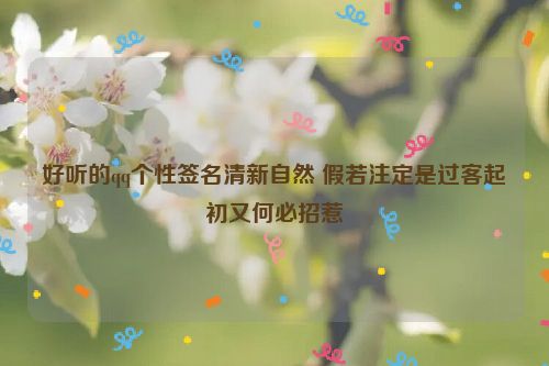 好听的qq个性签名清新自然 假若注定是过客起初又何必招惹