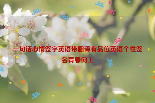 一句话心情签字英语带翻译有品位英语个性签名青春向上