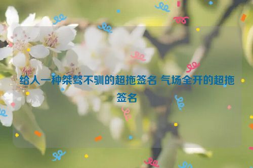 给人一种桀骜不驯的超拖签名 气场全开的超拖签名