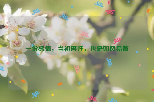 一份感情，当初再好，也是如风易散