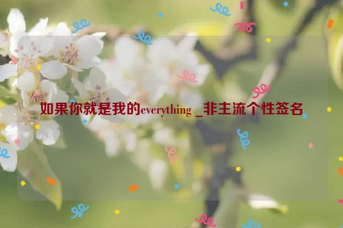 如果你就是我的everything _非主流个性签名