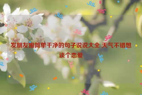 发朋友圈简单干净的句子说说大全 天气不错想谈个恋爱