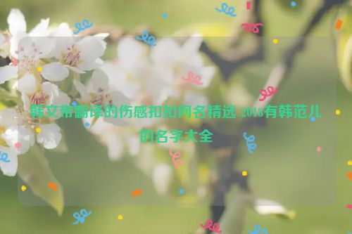 韩文带翻译的伤感扣扣网名精选 2018有韩范儿的名字大全