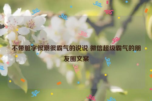 不带脏字很潮很霸气的说说 微信超级霸气的朋友圈文案