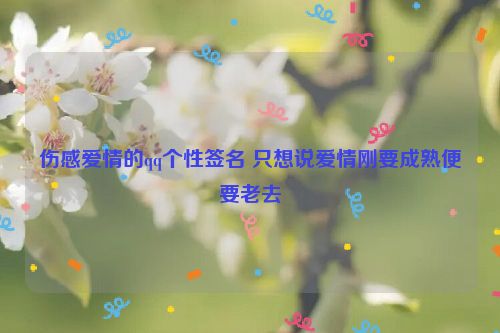 伤感爱情的qq个性签名 只想说爱情刚要成熟便要老去