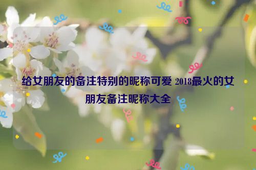 给女朋友的备注特别的昵称可爱 2018最火的女朋友备注昵称大全