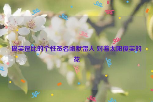 搞笑逗比的个性签名幽默雷人 对着太阳傻笑的花