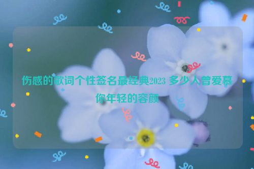 伤感的歌词个性签名最经典2023 多少人曾爱慕你年轻的容颜