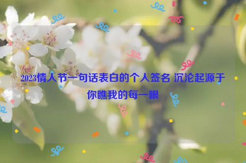 2023情人节一句话表白的个人签名 沉沦起源于你瞧我的每一眼