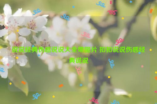 说说经典伤感说说大全带图片 扣扣说说伤感经典说说