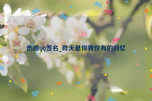 伤感QQ签名_昨天是你我仅有的回忆