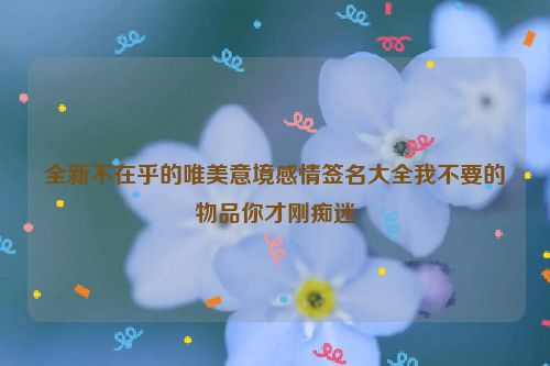 全新不在乎的唯美意境感情签名大全我不要的物品你才刚痴迷