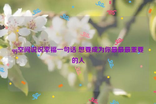 qq空间说说幸福一句话 想要成为你最最最重要的人