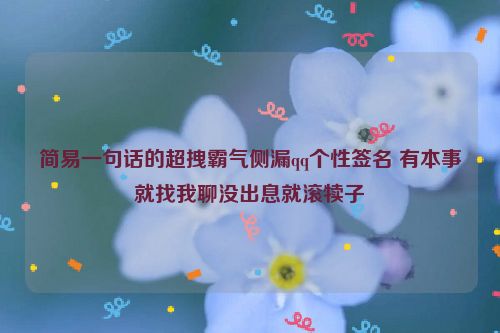 简易一句话的超拽霸气侧漏qq个性签名 有本事就找我聊没出息就滚犊子