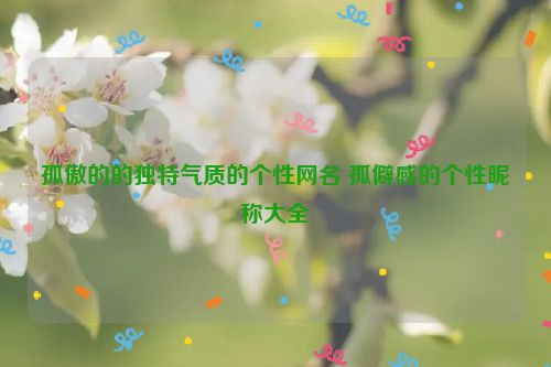 孤傲的的独特气质的个性网名 孤僻感的个性昵称大全