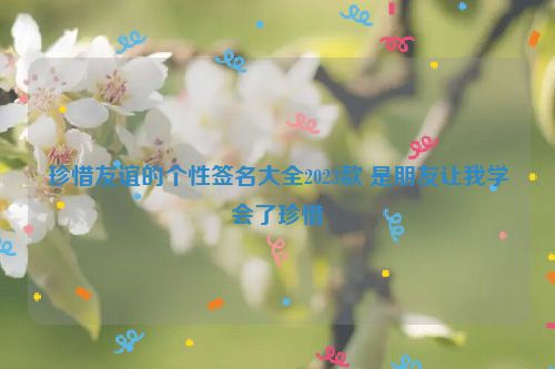 珍惜友谊的个性签名大全2023款 是朋友让我学会了珍惜