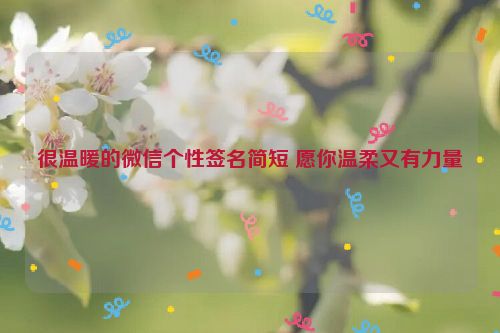 很温暖的微信个性签名简短 愿你温柔又有力量