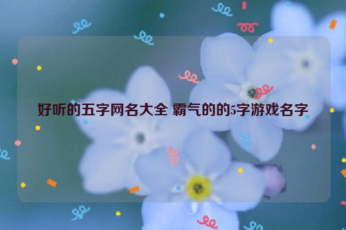 好听的五字网名大全 霸气的的5字游戏名字