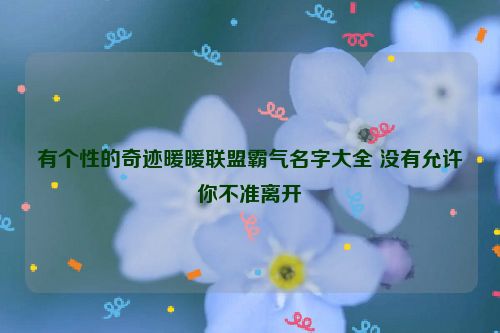 有个性的奇迹暖暖联盟霸气名字大全 没有允许你不准离开