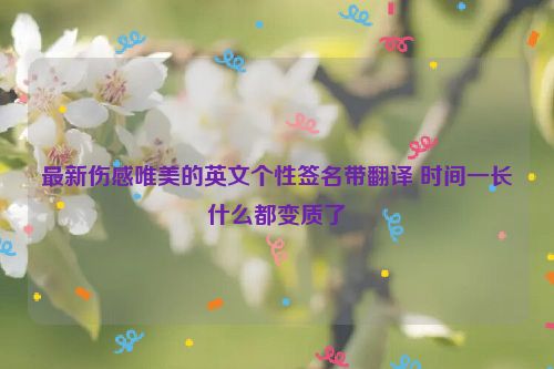 最新伤感唯美的英文个性签名带翻译 时间一长什么都变质了