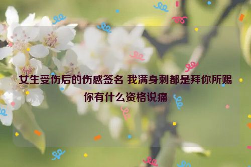 女生受伤后的伤感签名 我满身刺都是拜你所赐你有什么资格说痛