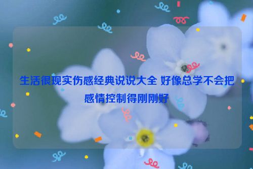 生活很现实伤感经典说说大全 好像总学不会把感情控制得刚刚好