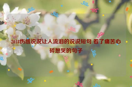 2018伤感说说让人流泪的说说短句 看了痛苦心碎想哭的句子