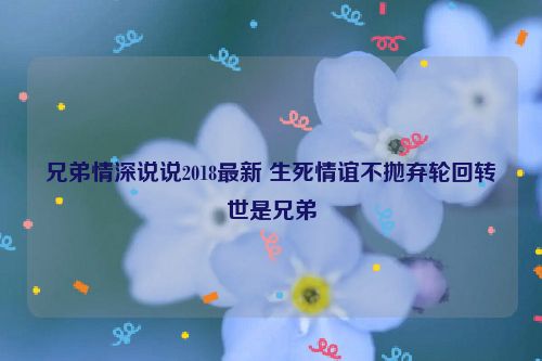 兄弟情深说说2018最新 生死情谊不抛弃轮回转世是兄弟