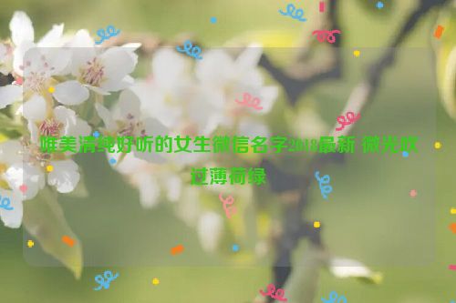 唯美清纯好听的女生微信名字2018最新 微光吹过薄荷绿