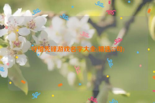 守望先锋游戏名字大全(精选57句)