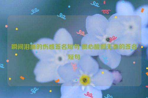 瞬间泪崩的伤感签名短句 很心酸很无奈的签名短句