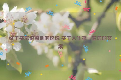 终于买房很激动的说说 买了人生第一套房的文案