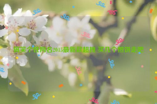 搞笑个性网名2015最新款超拽 买几个煎饼走吧