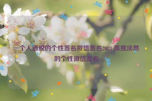 一个人洒脱的个性签名微信签名2023 孤独淡然的个性微信签名